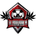 LA FEDERACION FC
