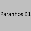 Paranhos B