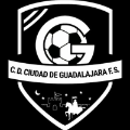 C.D.CIUDAD DE GUADALAJARA