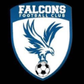 Falcons FC