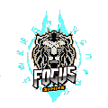 Focus Gaming