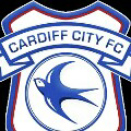 Cardiff City 