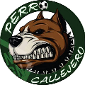 Perro Callejero
