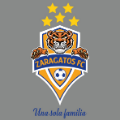 ZARAGATO FC