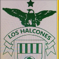Los Halcones Fc