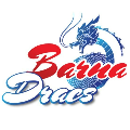 Barna Dracs DB22