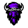 Bisontes eFC