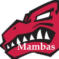 Mambas FC