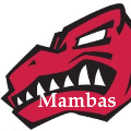 Mambas FC
